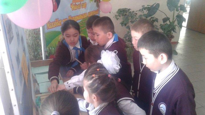 Сатушысыз дүкен